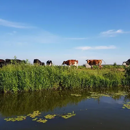 De Tocht Frühstückspension *