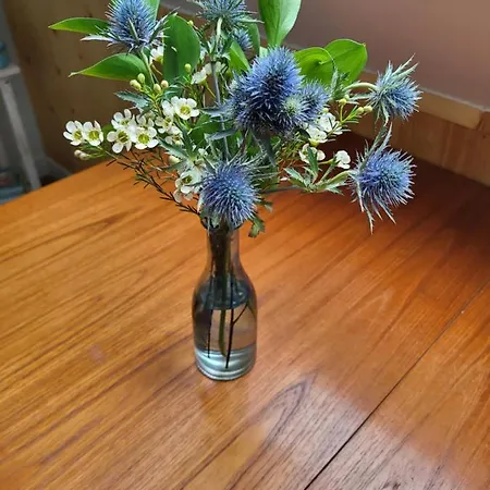 De Tocht Bed & Breakfast 3*