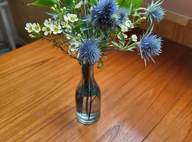 De Tocht Alojamento de Acomodação e Pequeno-almoço 3*