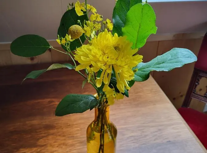 Alojamento de Acomodação e Pequeno-almoço De Tocht 3*